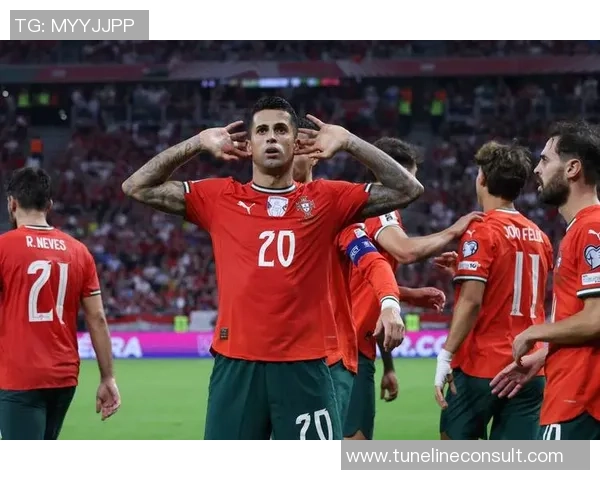 葡萄牙足球队球星实力排名分析与未来潜力展望