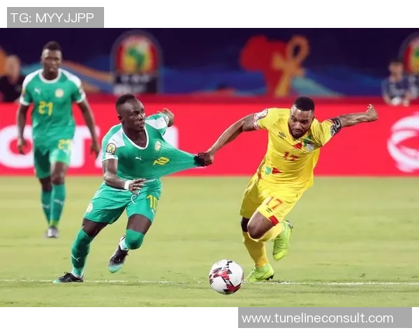 赛内加尔足球球星介绍及其在国际赛场上的突出表现