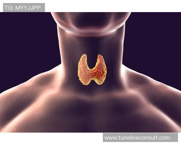 足球明星背后的营养专家揭秘他们的饮食计划与健康管理秘诀