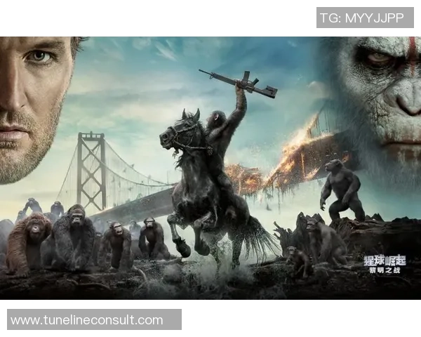 黄发足球明星崛起记 探寻他们的成长历程与赛场传奇